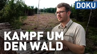 Wie drei Forstleute den Wald retten wollen  erlebnis hessen  Doku [upl. by Leahsim]