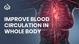 Blood Circulation Frequency Rife Frequency for Better Blood Flow [upl. by Maurizio]