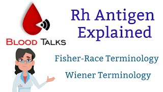 Rh antigen explained [upl. by Noet900]