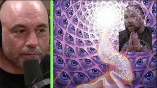 Joe Rogan  Theyre Mapping the DMT Realm [upl. by Jannel]