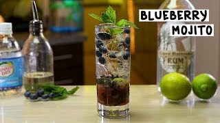 Blueberry Mojito  Tipsy Bartender [upl. by Sampson754]