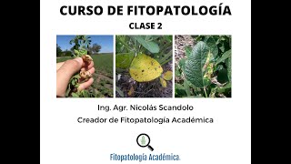 Curso de Fitopatología Clase 2 Enfermedades monocíclicas y policíclicas [upl. by Leikeze650]