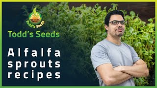 Alfalfa Sprouts Recipes [upl. by Tyra]