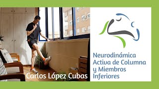 Neurodinámica Activa Columna y Miembros Inferiores [upl. by Enylekcaj]