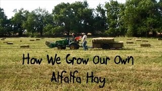 How We Grow Our Own Alfalfa Hay [upl. by Isle]