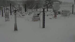 Snow Mont Rigi RMI webcam 26 February 2020 [upl. by Sutsugua]