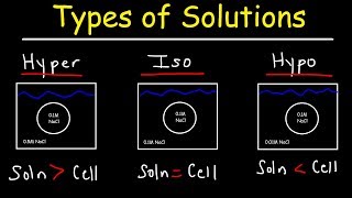 Hypertonic Hypotonic and Isotonic Solutions [upl. by Harv]