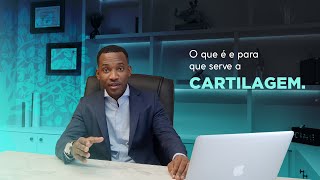 O QUE É CARTILAGEM PARA QUE SERVE [upl. by Leola]