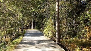 Fichtelgebirge Kleine Wanderung rund um den Fichtelsee [upl. by Gmur]