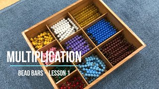 VMI Math  Multiplication Bead Bars 1 Montessori [upl. by Nolana984]