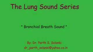 The Basics of Pulmonary Circulation [upl. by Encratia]