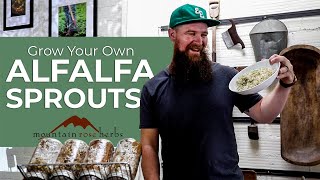 Grow Your Own Alfalfa Sprouts [upl. by Kent]