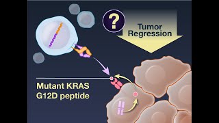 TCR Gene Therapy in Pancreatic Cancer  NEJM [upl. by Sybley69]