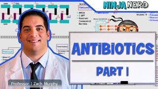 Antibiotics Cell Wall Synthesis Inhibitors Part 1 [upl. by Orteip230]