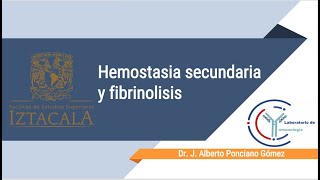 Clase 12 Hemostasia secundaria [upl. by Adiell]