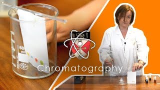 Chromatography  GCSE Science Required Practical [upl. by Daniela]