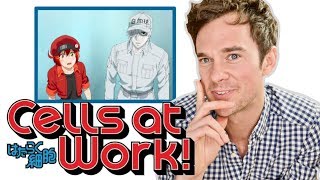 Real DOCTOR reacts to CELLS AT WORK Anime review [upl. by Dhiren]