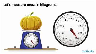 Using a Scale  Kilograms [upl. by Rainwater]