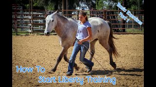 How To Start Liberty Training With Your Horse Basic Exercises Part 1 [upl. by Lan]