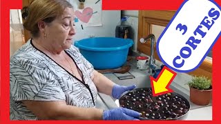 ⚫ APRENDE Cómo Preparar ACEITUNAS NEGRAS en CONSERVA 💛  3 CORTES [upl. by Persis503]