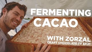 Fermenting Cacao 4 tier cascade system  Episode 21  Craft Chocolate TV [upl. by Nolram850]