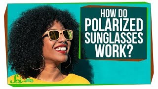 How Do Polarized Sunglasses Work [upl. by Enawtna455]