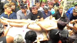 Balinese Ngaben Ceremony  Bathing the Corpse [upl. by Acnayb493]