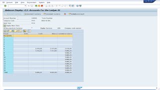 Kofax RPA Data collection from a desktop application SAP [upl. by Fredelia118]