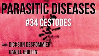 Parasitic Diseases Lectures 34 Cestodes [upl. by Quince]