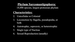 Phylum Sarcomastigophora Class Phytomastigophora amp Zoomastigophora [upl. by Daas478]