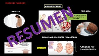 FISIOPATOLOGIA DE LA HIPOGLICEMIA NEONATAL [upl. by Ayoras]