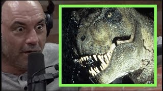 Joe Rogan  The Mysteries of the TREX [upl. by Bobette326]