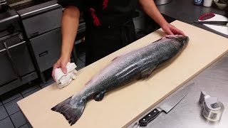 How to Filet a Whole Salmon [upl. by Ylera629]