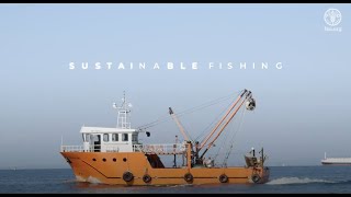 FAO PSMA as a tool to combat IUU fishing [upl. by Dewar]