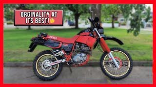 Yamaha XT600  1997 Yamaha xt600 review  short ride Yamaha xt600e  Yamaha xt 600 to speed Review [upl. by Yenalem]