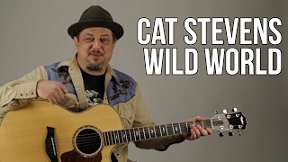 Cat Stevens Wild World Guitar Lesson  Tutorial [upl. by Francene]