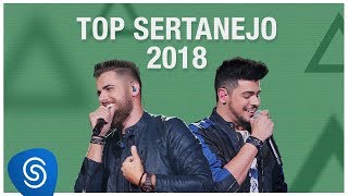 Top Lançamentos Sertanejo 2019  Os Melhores Clipes [upl. by Zedecrem]