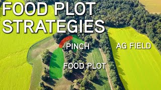 Small Acre Food Plot Strategy For Better Deer Hunting [upl. by Yanrahs]