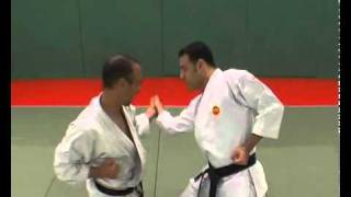 4 Tekki Shodan Kata Kumite Bunkai Didier Lupo [upl. by Ozner]