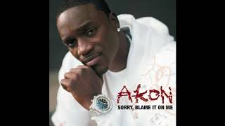 Akon  Sorry Blame It on Me Audio [upl. by Abrahamsen]