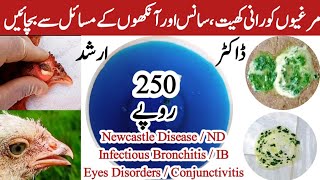 How to Prevent Newcastle Disease  ND Infectious Bronchitis and Chicken Eye Problems  Dr Arshad [upl. by Kaz]