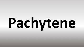 How to Pronounce Pachytene [upl. by Artek]