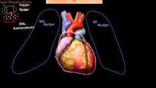 Kalp ile Tanışın Sağlık ve Tıp Dolaşım Sistemi Fizyolojisi [upl. by Augustus437]