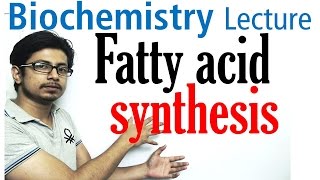 Fatty acid synthesis [upl. by Eiddal]