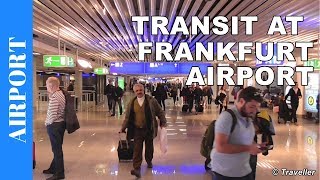 TRANSIT WALK AT FRANKFURT Airport FRA Terminal 1  Connection Flight Transfer Arriving amp Departing [upl. by Alexander]