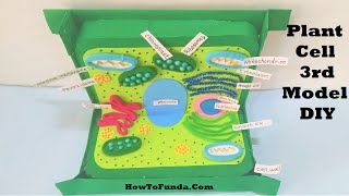 PLANT CELL model project using cardboard for science exhibition  3d  DIY at home  howtofunda [upl. by Edalb496]