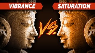 Saturation Vs Vibrance  Lightroom Tutorials 9 [upl. by Stafani116]