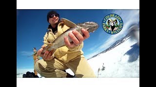 Ice Fishing  Granby Lake Trout [upl. by Atima]