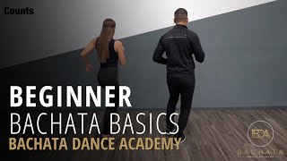 Bachata Beginner Basic Steps Tutorial  Demetrio amp Nicole  Bachata Dance Academy [upl. by Charlena]