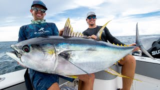 Monster Yellowfin Tuna [upl. by Oemac]